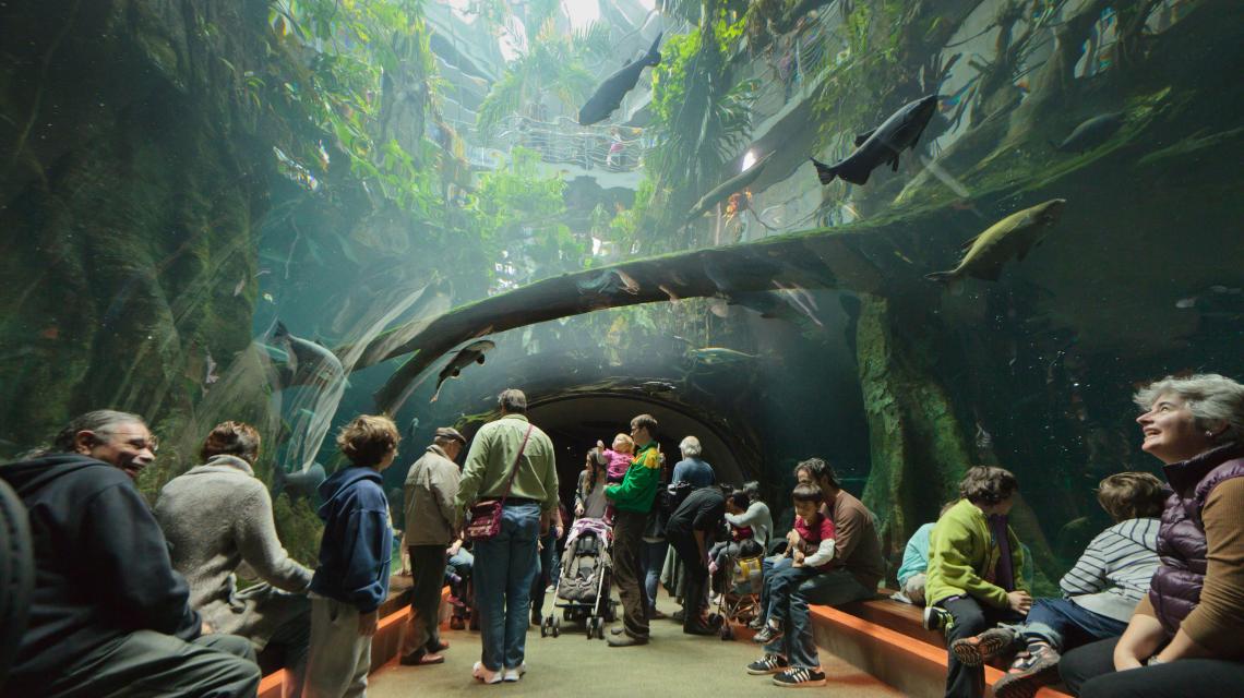 Steinhart Aquarium